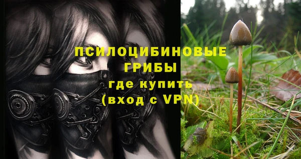 хмурый Заволжск