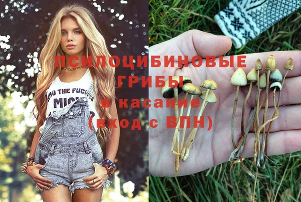 каннабис Заводоуковск