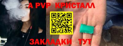 2c-b Кингисепп