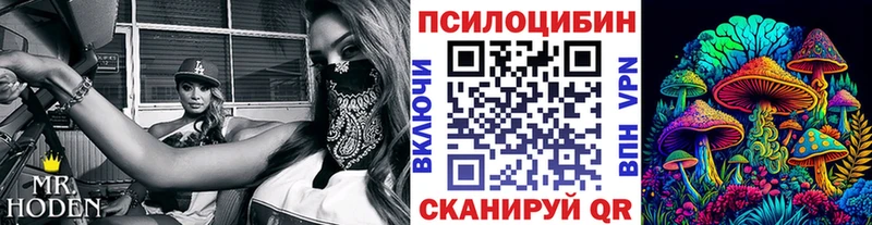 Галлюциногенные грибы Psilocybe Свободный