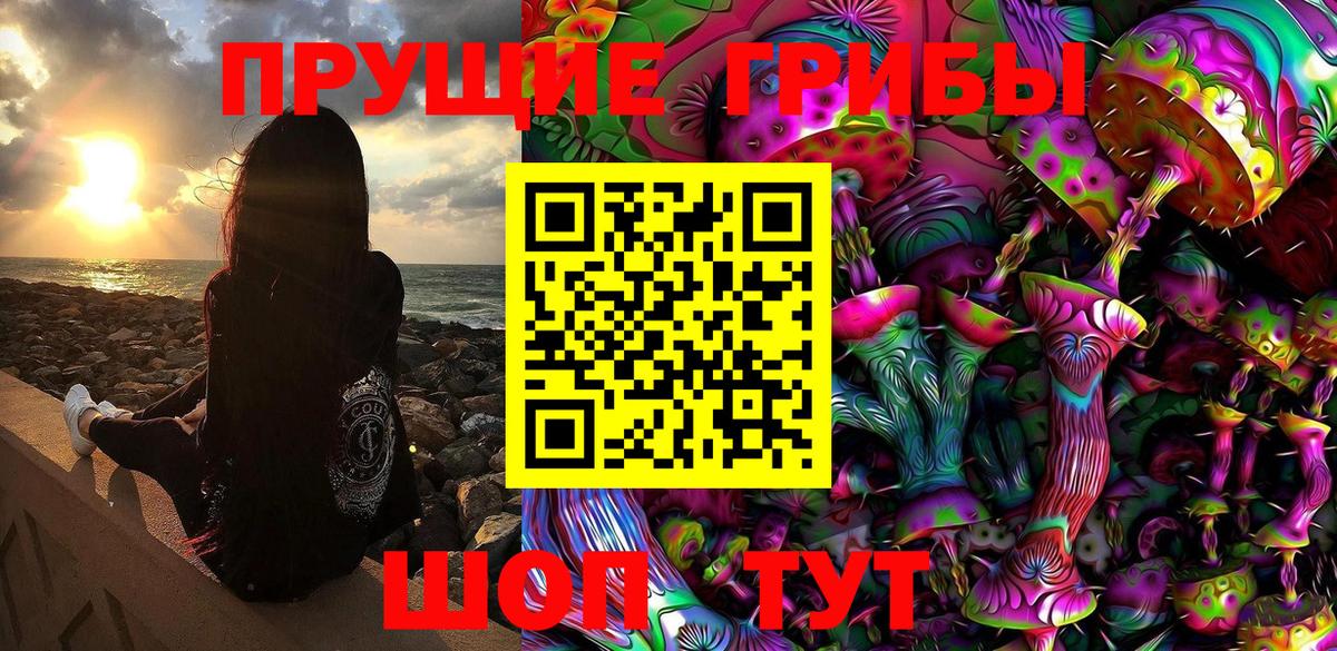 Псилоцибиновые грибы Psilocybe  Вход с VPN  Свободный 